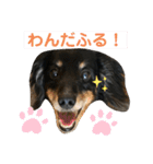 どうも、ジャックです。（個別スタンプ：31）