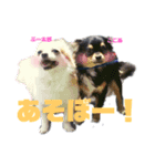ぷー太郎とここあ♡（個別スタンプ：3）