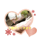 日常で使えるスタンプ-7（個別スタンプ：8）