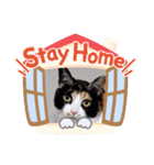 シマミケ猫のメイちゃん（個別スタンプ：1）
