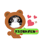 シマミケ猫のメイちゃん（個別スタンプ：3）