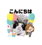 シマミケ猫のメイちゃん（個別スタンプ：7）