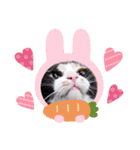 シマミケ猫のメイちゃん（個別スタンプ：32）