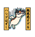 nekomaneki19（個別スタンプ：7）