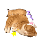 もありんの猫スタンプ2（個別スタンプ：1）