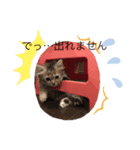 もありんの猫スタンプ2（個別スタンプ：4）