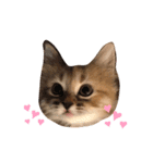 もありんの猫スタンプ2（個別スタンプ：5）