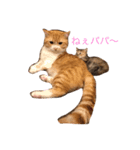 もありんの猫スタンプ2（個別スタンプ：6）