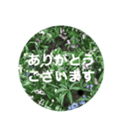 ありがとう！！の気持ちを伝える（個別スタンプ：6）