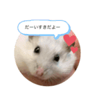 うちのしらたま姫（個別スタンプ：6）