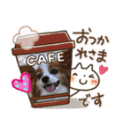パピヨン める（個別スタンプ：10）