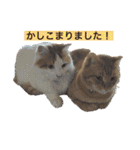 はなきファーム修正版（個別スタンプ：5）