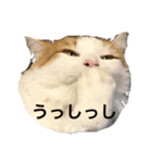 はなきファーム修正版（個別スタンプ：7）