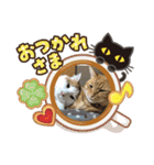 はなきファーム修正版（個別スタンプ：22）