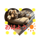 マールくん（個別スタンプ：3）