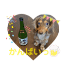 マールくん（個別スタンプ：16）