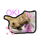 みるくちゃん1（個別スタンプ：3）