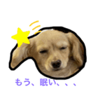みるくちゃん1（個別スタンプ：4）