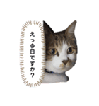 にこはなスタンプ（個別スタンプ：4）