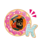 うちの犬2((ココア（個別スタンプ：11）