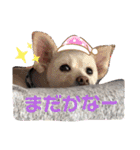 ぽーたんぷ  2（個別スタンプ：1）