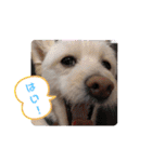 ぽーたんぷ  2（個別スタンプ：3）