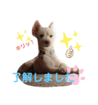 ぽーたんぷ  2（個別スタンプ：6）