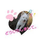 ぽーたんぷ  2（個別スタンプ：15）