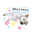 ぽーたんぷ  2（個別スタンプ：18）
