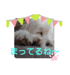 ぽーたんぷ  2（個別スタンプ：19）