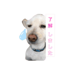 ぽーたんぷ  2（個別スタンプ：23）