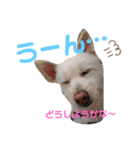 ぽーたんぷ  2（個別スタンプ：27）