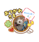 ぽーたんぷ  2（個別スタンプ：32）