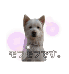 ぽーたんぷ  2（個別スタンプ：33）