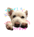 ぽーたんぷ  2（個別スタンプ：34）