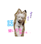 ぽーたんぷ  2（個別スタンプ：40）