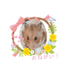 大好きなこむぎ‪♡（個別スタンプ：4）