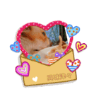 大好きなこむぎ‪♡（個別スタンプ：5）