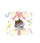 大好きなこむぎ‪♡（個別スタンプ：13）