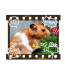 大好きなこむぎ‪♡（個別スタンプ：22）