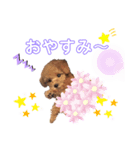 トイプードル バニラちゃん（個別スタンプ：8）