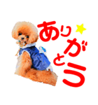 アンジュ＆オト（個別スタンプ：3）