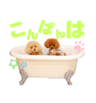 アンジュ＆オト（個別スタンプ：7）