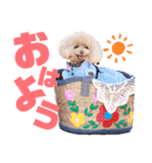 アンジュ＆オト（個別スタンプ：8）