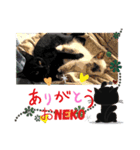 おNEKOちゃん（個別スタンプ：7）