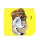 わが家の猫姫（個別スタンプ：9）