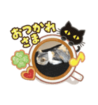 わが家の猫姫（個別スタンプ：16）