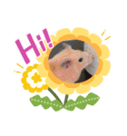 さんちゃん ハムスター（個別スタンプ：2）
