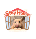 さんちゃん ハムスター（個別スタンプ：3）