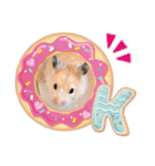 さんちゃん ハムスター（個別スタンプ：13）